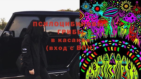 гашик Верея