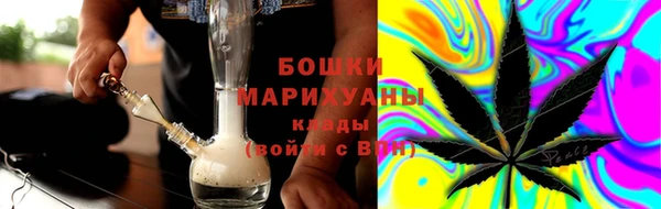 гашик Верея