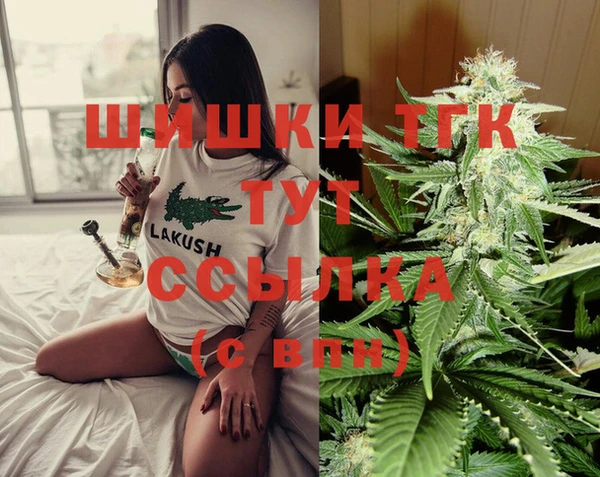 гашик Верея