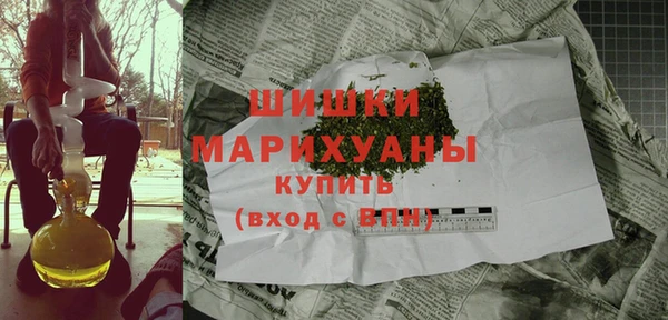 гашик Верея