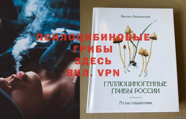 гашик Верея