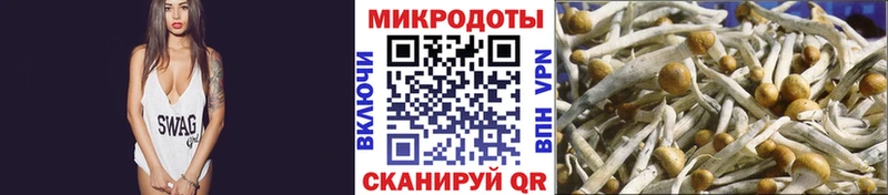 Галлюциногенные грибы Magic Shrooms  Кимовск 